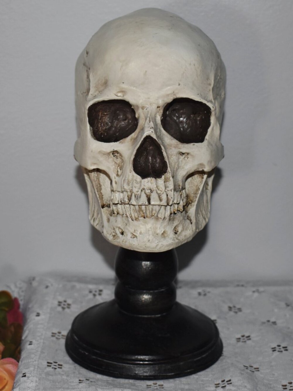 Gothic Horror Realistic Skeleton Skull on Pedestal Spooky Halloween Decor
